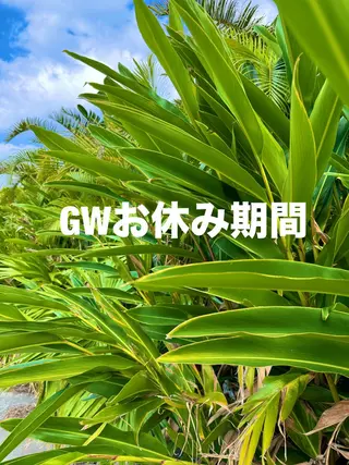 ネイル lune nail_2017のその他イメージ