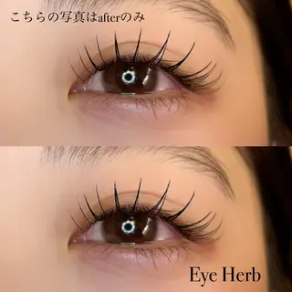 マツエク・マツパ Eye Herb beauty salon所属・♡ Mireiのマツエク・マツパデザイン