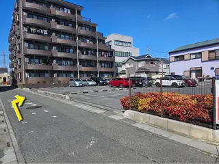 Binosu所属・エンダモロジー BINOSUのその他イメージ