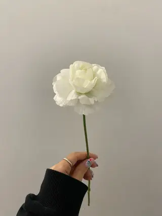 🌻花屋併設🌻濱 幸帆のヘアスタイル