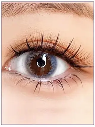 マツエク・マツパ Cute B e au t yのマツエク・マツパデザイン