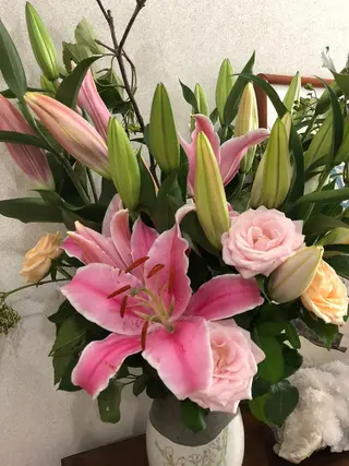 ナチュレ所属・ナチュ レのマツエク・マツパデザイン