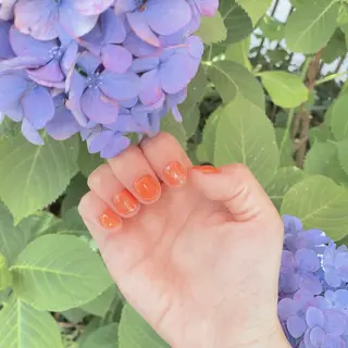 ネイル マジョリカ ブルーのネイルデザイン