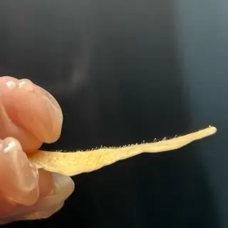 メンズ アイブロウ 川崎/まつ毛パーマ/ アイブロウ/あいりのマツエク・マツパデザイン