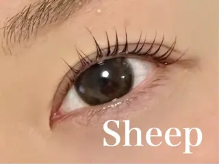 マツエク・マツパ eyelash&hairmake sheep所属・Sheep 黒崎のマツエク・マツパデザイン