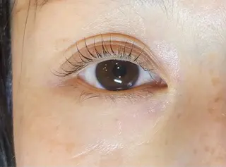 マツエク・マツパ Daisy lash 京橋店堀井のマツエク・マツパデザイン