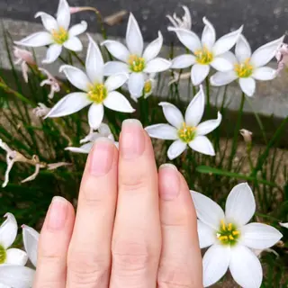 メンズ ネイル ハンドケア&ネイルケア桃の木所属・ケアリスト🍀 マリユキのネイルデザイン