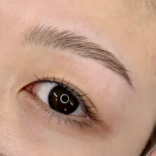 アイブロウ 堀川 穂乃香の眉毛・アイブロウイメージ