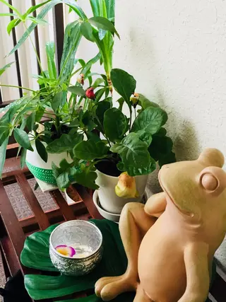 spiritual healing Lotus所属・Lotus~🪷~ Junkoのエステ・リラクイメージ