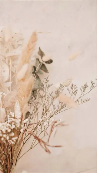 ＆MoRe． アンドモアのマツエク・マツパデザイン