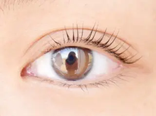 マツエク・マツパ eyelist kのマツエク・マツパデザイン