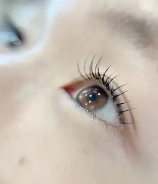 マツエク・マツパ 1席のみサロンvi ctoriaeyeの眉毛・アイブロウイメージ