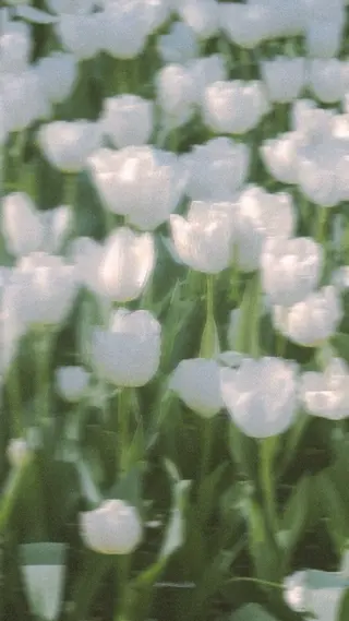 オト/レイヤー/ Wカラー/メンズのヘアスタイル