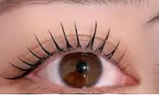 パーマ 柏 木のマツエク・マツパデザイン