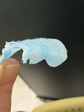 BLOOMi.(CARRIE NAIL内)所属・肌悩み専門店 BLOOMi.のエステ・リラクイメージ