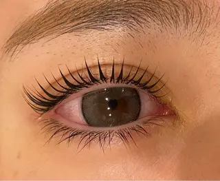 マツエク・マツパ Daisy lash 京橋店堀井のマツエク・マツパデザイン