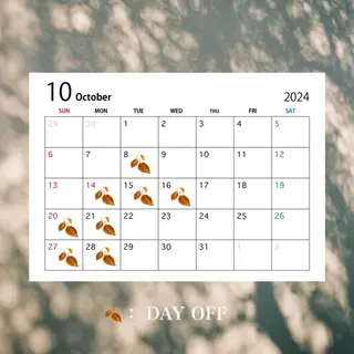 Vias所属・Vias mayuのマツエク・マツパデザイン