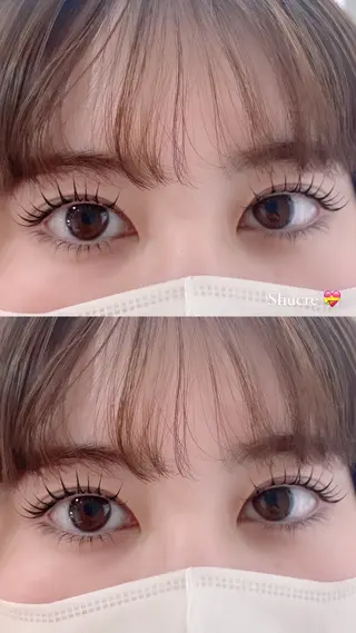 マツエク・マツパ Shucre豊田店 🤍Koharuのマツエク・マツパデザイン