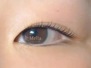 マツエク・マツパ Melia Chieのマツエク・マツパデザイン