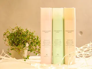 NICOLI 岩崎雅恵/日本大通りのエステ・リラクイメージ