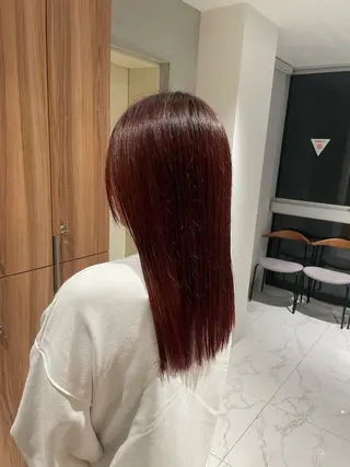 ロング カラー ボブ⌇ 艶カラー⌇ RIN🌙のヘアスタイル