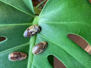 ネイル 49-seek所属・49-seek 松野千恵子のネイルデザイン