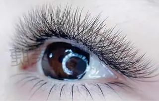 マツエク・マツパ Lemon 小岩店のマツエク・マツパデザイン