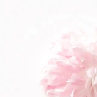 TIÁM eyelashのマツエク・マツパデザイン