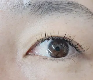 マツエク・マツパ cocolash　町屋店所属・cocolash 🧸のマツエク・マツパデザイン