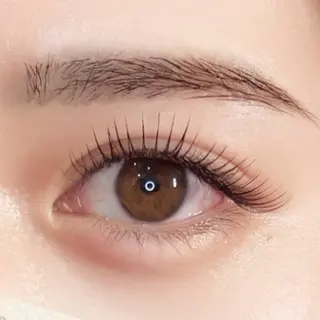 マツエク・マツパ le chérie 🫧大阪福島のマツエク・マツパデザイン