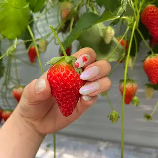 ネイル Nail Salon L’arc所属・Kawasaki Shinyaのネイルデザイン