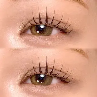 マツエク・マツパ REIMI 表参道ｱｲﾘｽﾄのマツエク・マツパデザイン