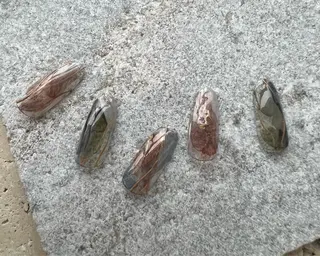 ネイル tree houseのネイルデザイン