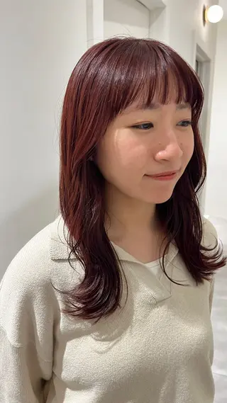 ミディアム 似合わせ/レイヤー/ ボブ/西島 絢香のヘアスタイル