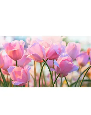 Miroir所属・Miroir Hiroseのマツエク・マツパデザイン