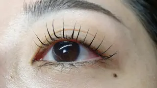 マツエク・マツパ angelux 所属・完全個室サロン🌹 angelux🌹のマツエク・マツパデザイン