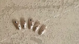 ネイル Kurehashi Yui🧸のネイルデザイン