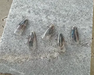 ネイル tree houseのネイルデザイン