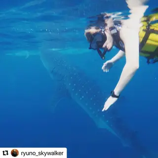 ミディアム カラー メンズ 🩷Eny terrace🩷のヘアスタイル