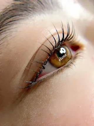 マツエク・マツパ Elene  エレーヌ所属・Elene ˚✧₊東広島のマツエク・マツパデザイン