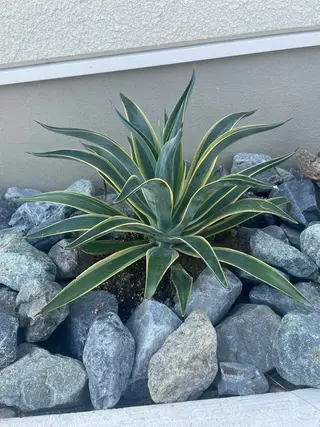 RITZ 髪質改善/ 清水のヘアスタイル