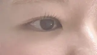 マツエク・マツパ 隠れ家サロン にんにんのマツエク・マツパデザイン