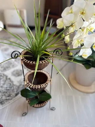 海ぼうず  Healing Room所属・海ぼうず ヒーリングルームのエステ・リラクイメージ