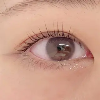 マツエク・マツパ GO TODAY シェアサロン 銀座Eclara店所属・mihiro 銀座まつぱﾏﾂｴｸ眉のマツエク・マツパデザイン