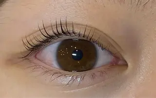 マツエク・マツパ Daisy lash 京橋店堀井のマツエク・マツパデザイン