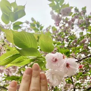 ネイル ハンドケア＆ネイルケア桃の木所属・ケアリスト🍀 マリユキのネイルデザイン