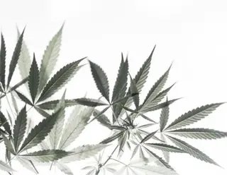 Blue Mist所属・清水 由希のエステ・リラクイメージ