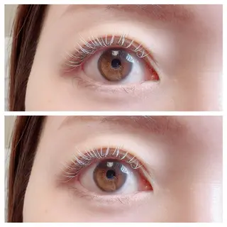 マツエク・マツパ plume eyelashのマツエク・マツパデザイン