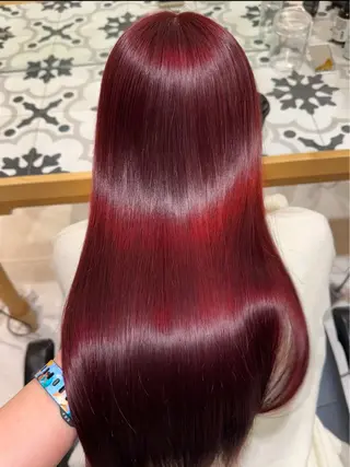 ロング カラー 艶髪/ロングモデル 募集🫧terukaのヘアスタイル