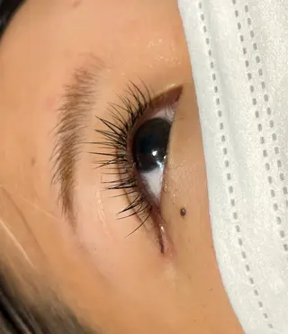 マツエク・マツパ MAQUIA蒲田店 横山のマツエク・マツパデザイン